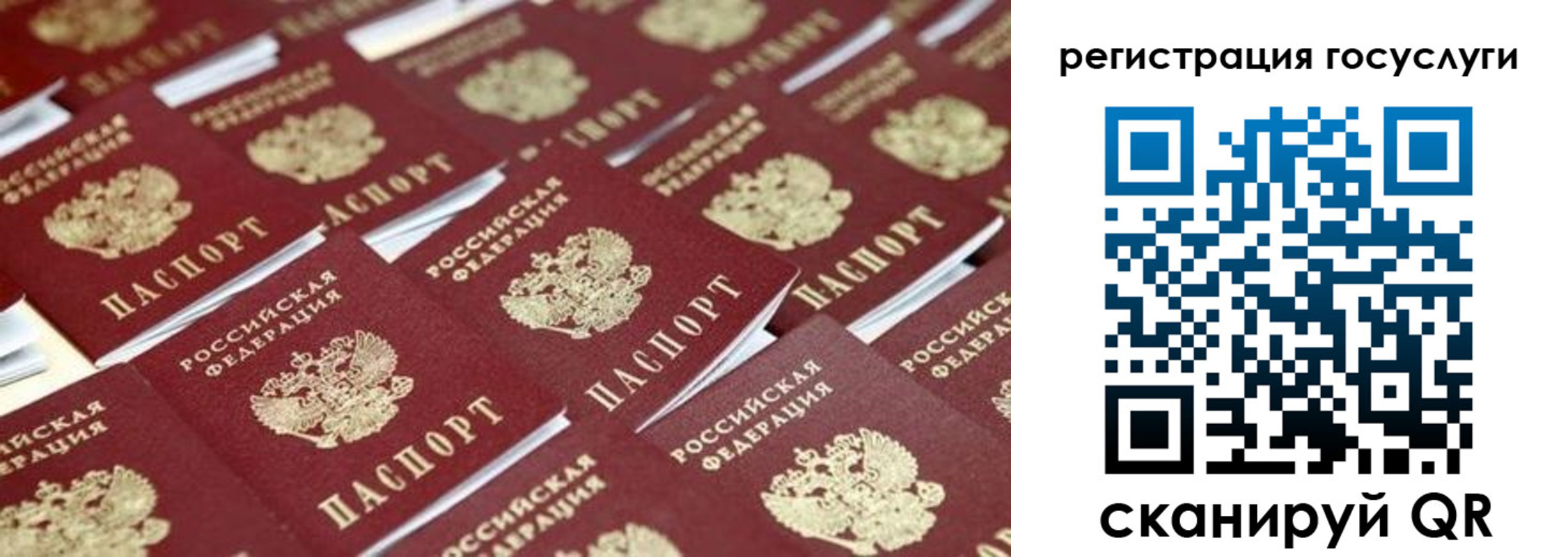 прописка ребенка в Павлово